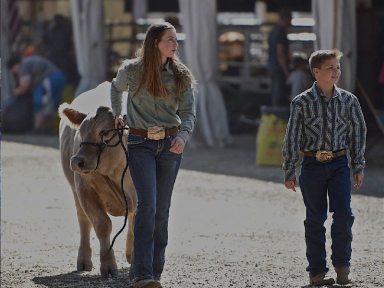 Fair | Clackamas County Event Center