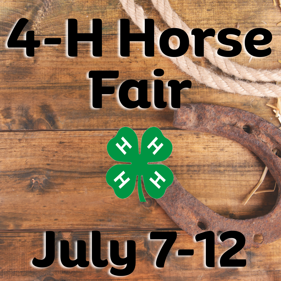4-H Horse Fair