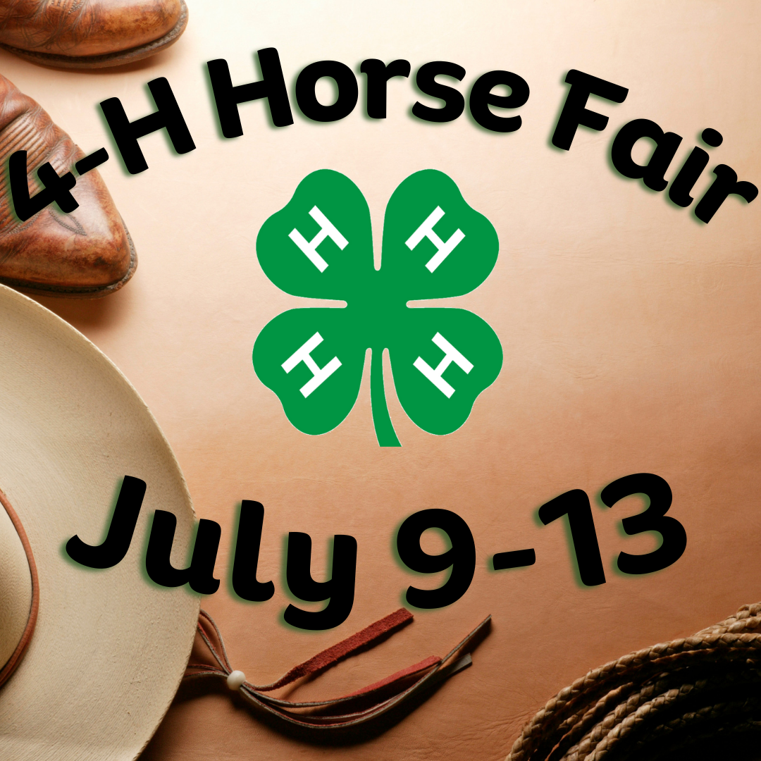 4-H Horse Fair