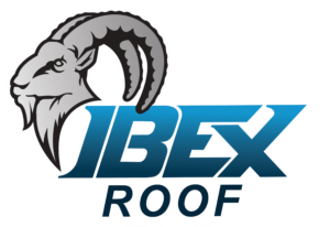 Ibex-Full-Logo-356kb-TNS