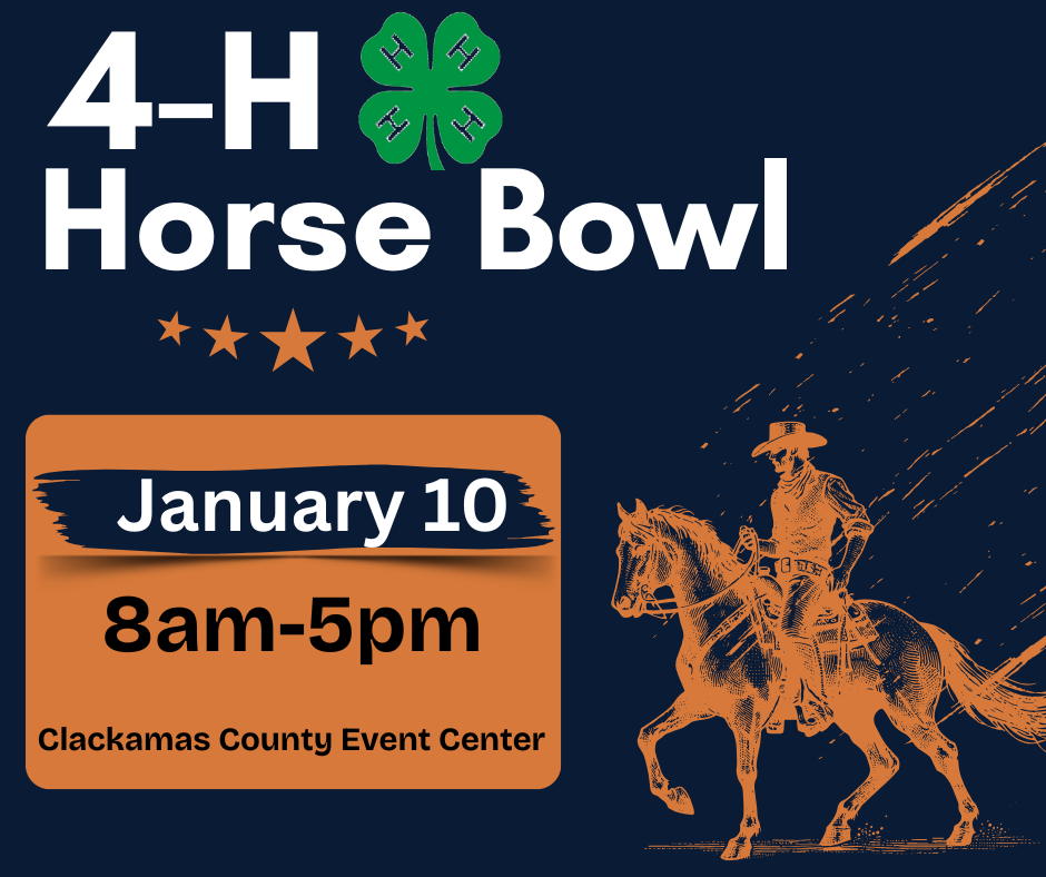4-H Horse Bowl
