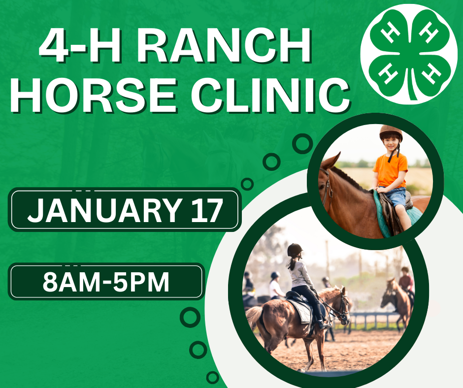 4-H Ranch Horse Clinic